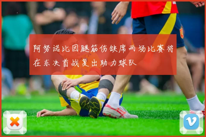 阿努诺比因腿筋伤缺席两场比赛将在东决首战复出助力球队